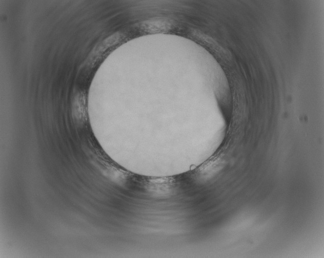 X0000067830240200605111625