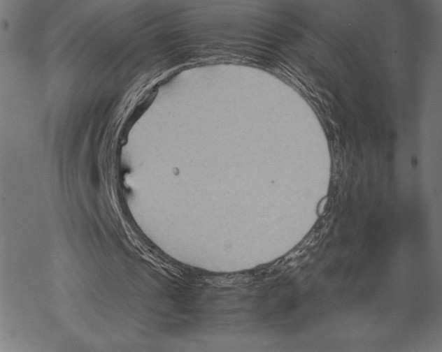 X0000067830241200605111624