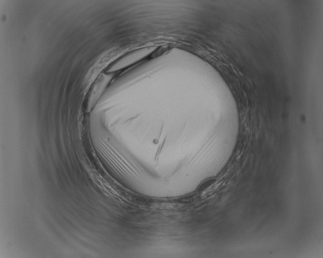 X0000067830242200605111624