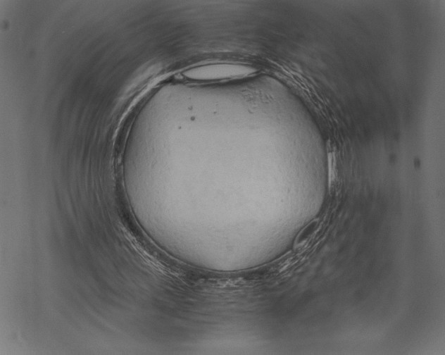 X0000067830243200605111624