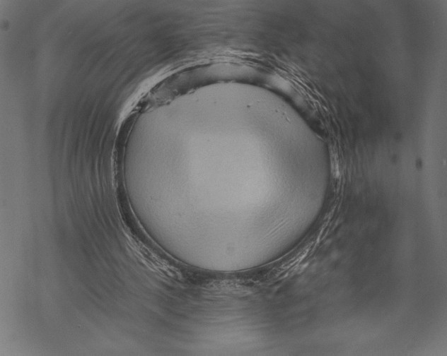 X0000067830244200605111624