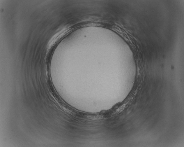 X0000067830245200605111624