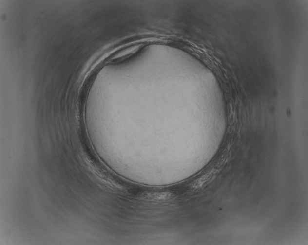 X0000067830247200605111624