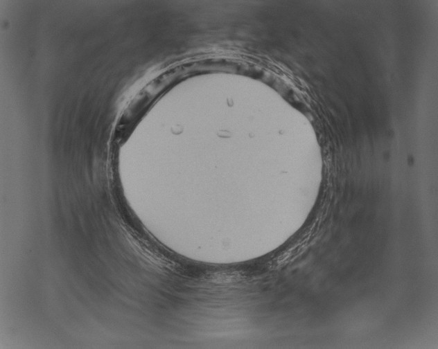 X0000067830248200605111624