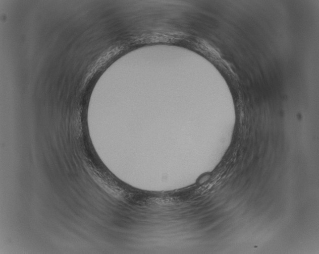 X0000067830250200605111624