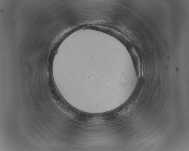 X0000067830252200605111624