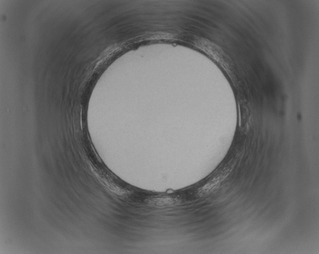 X0000067830253200605111624