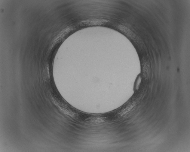 X0000067830254200605111624