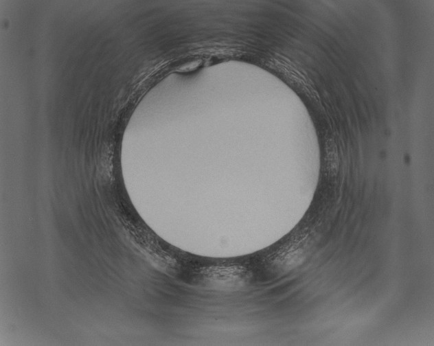 X0000067830255200605111624