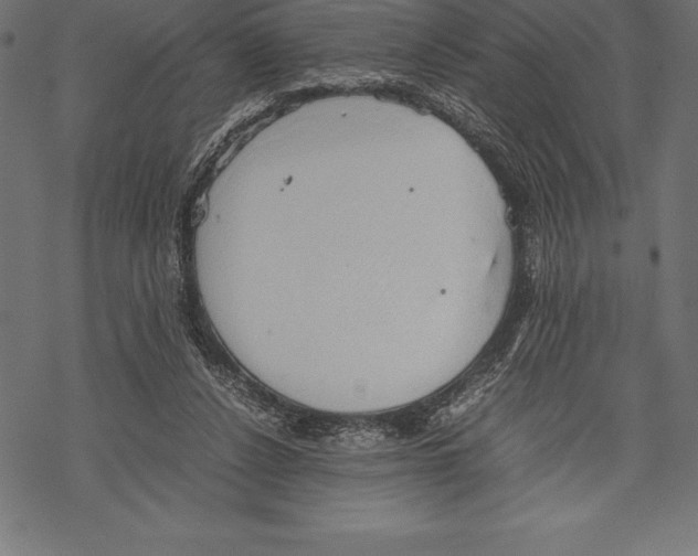 X0000067830256200605111624