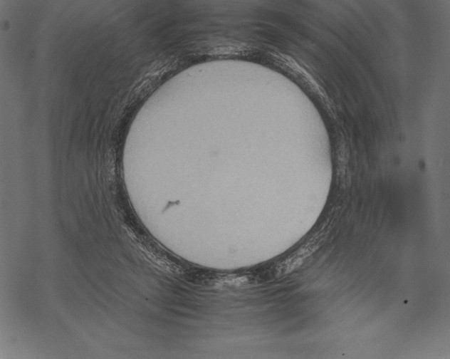 X0000067830257200605111624