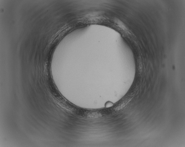 X0000067830258200605111624