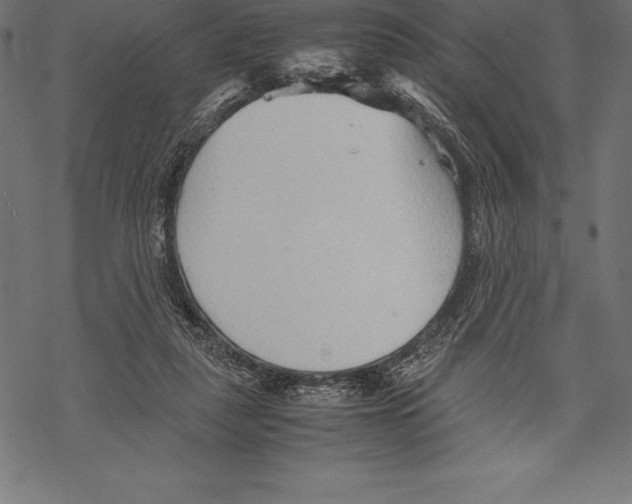 X0000067830259200605111624