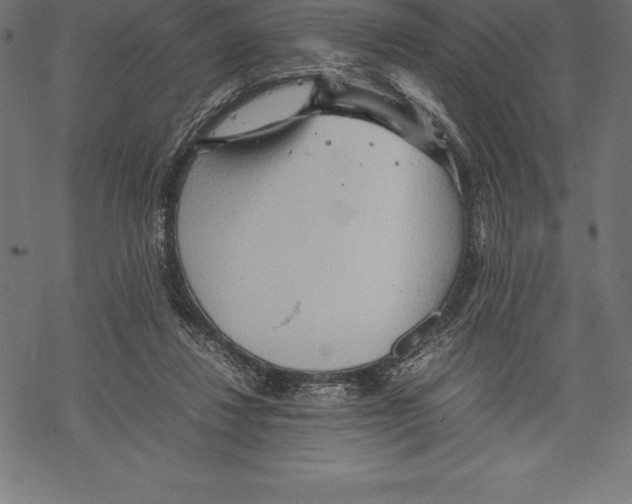 X0000067830260200605111624