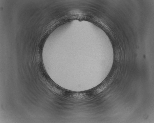 X0000067830261200605111624