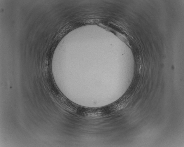 X0000067830263200605111624