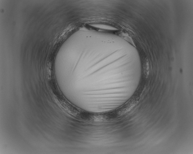 X0000067830264200605111624