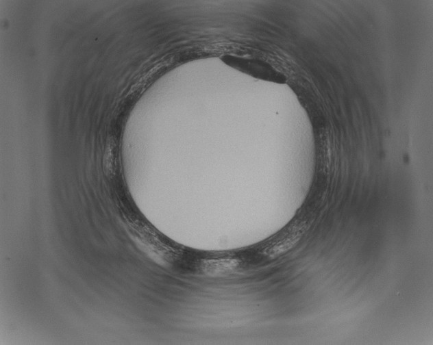 X0000067830266200605111624