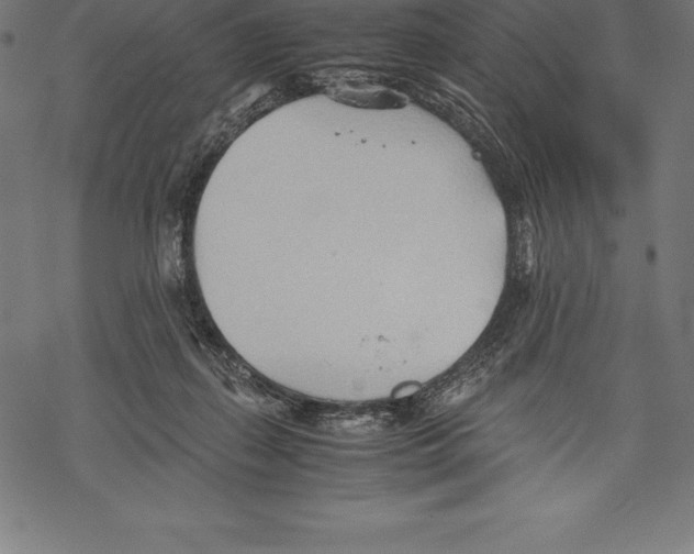 X0000067830267200605111624