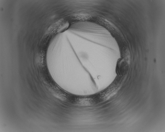 X0000067830268200605111624