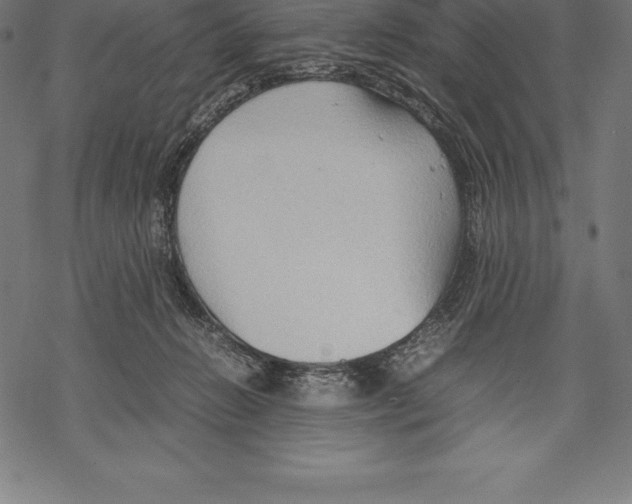 X0000067830270200605111624