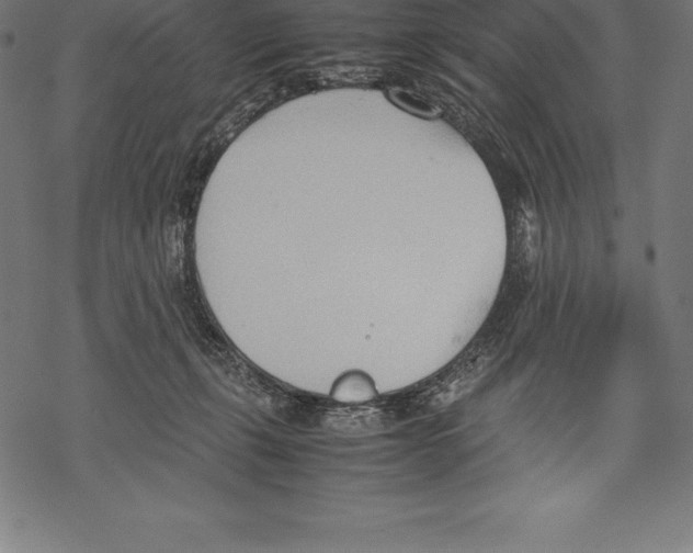 X0000067830271200605111624