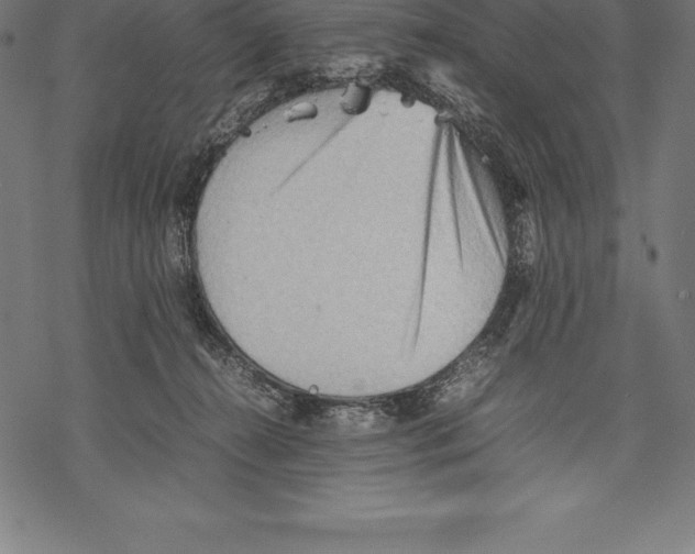 X0000067830272200605111625