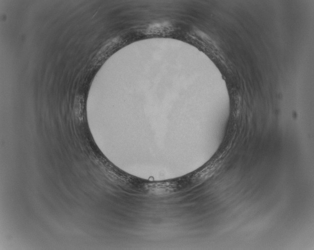 X0000067830273200605111625