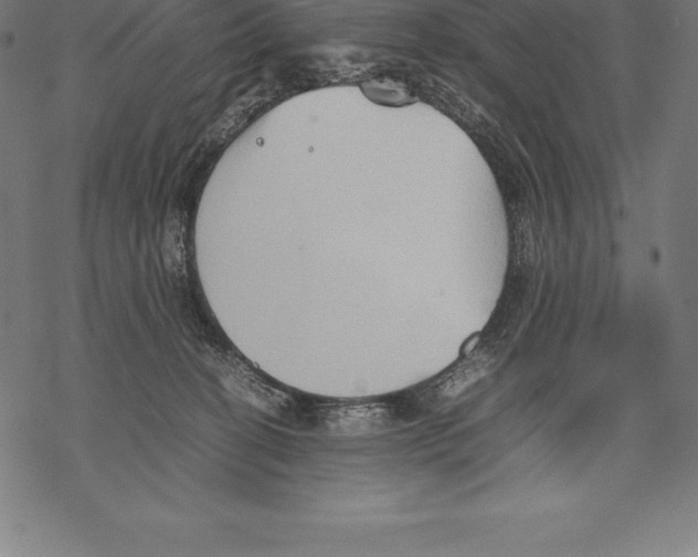 X0000067830274200605111625