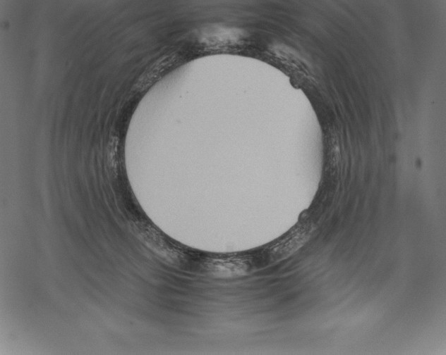 X0000067830275200605111625