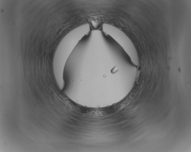 X0000067830276200605111625