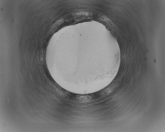 X0000067830277200605111625