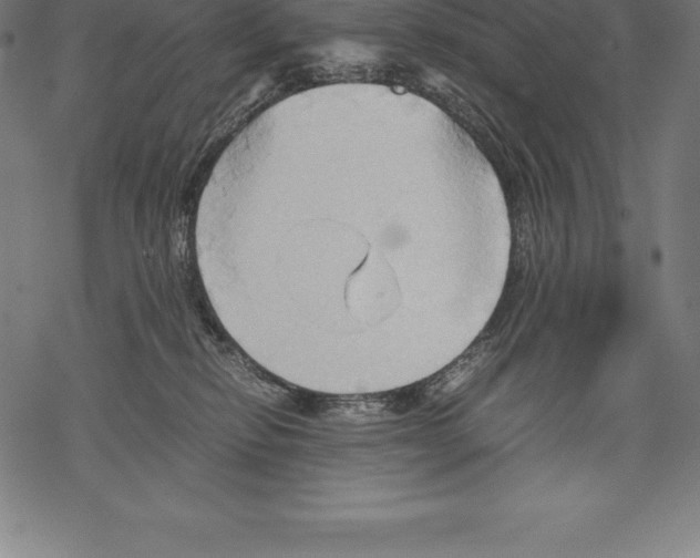 X0000067830278200605111625