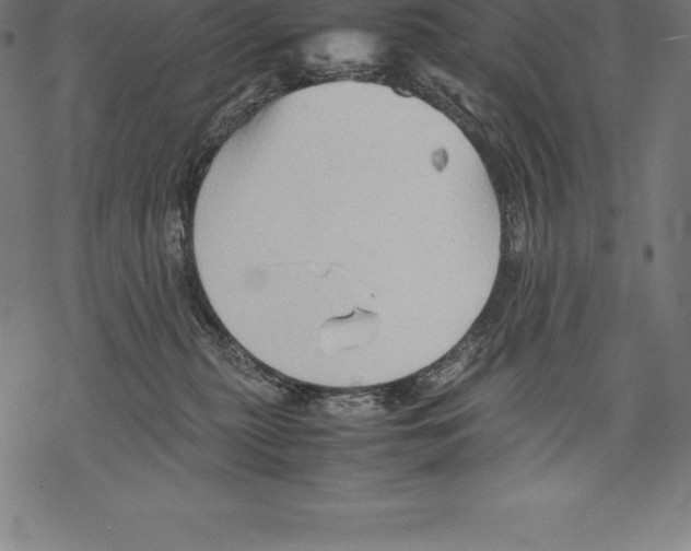 X0000067830279200605111625