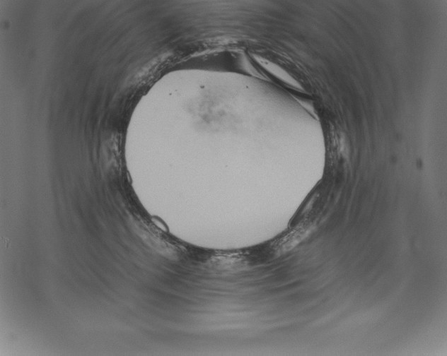 X0000067830280200605111625