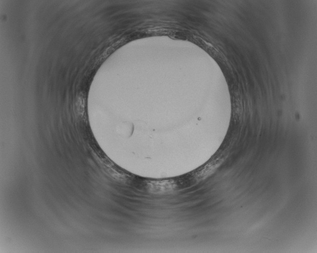 X0000067830281200605111625