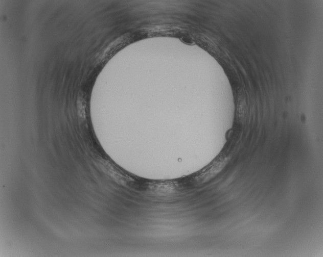 X0000067830282200605111625