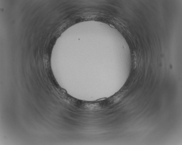 X0000067830283200605111625