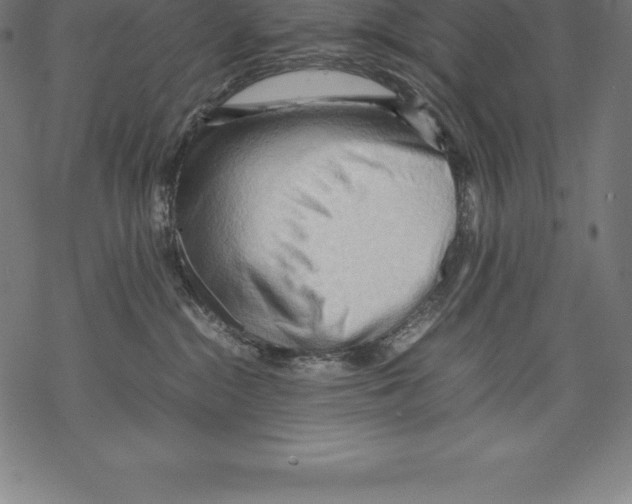 X0000067830284200605111625