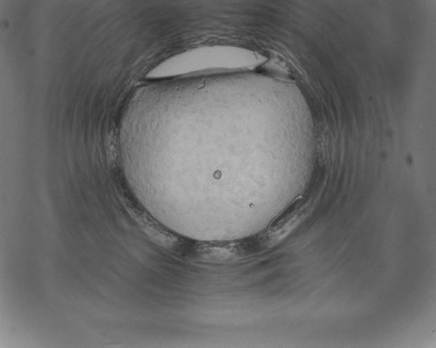 X0000067830285200605111625