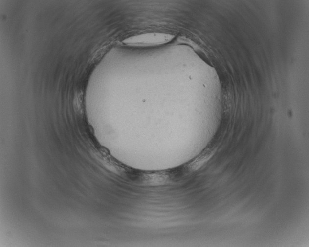 X0000067830286200605111625