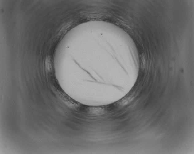 X0000067830287200605111625