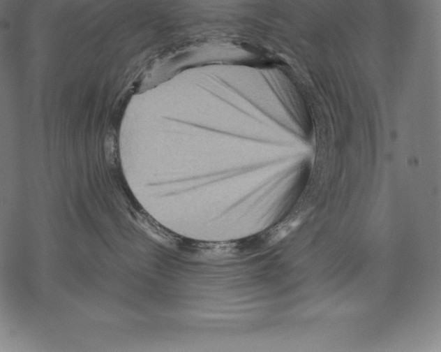 X0000067830288200605111625