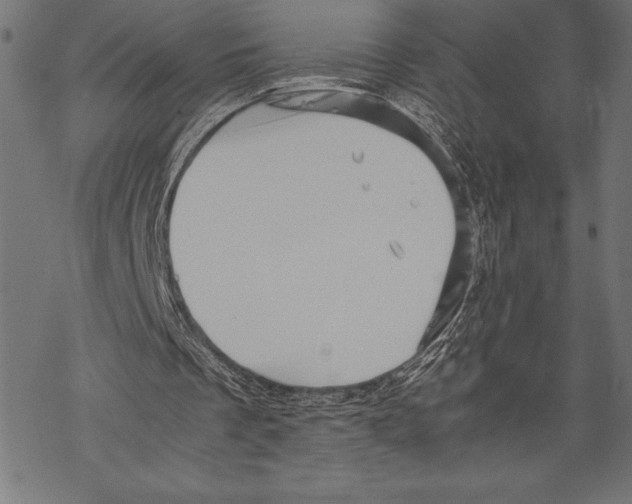 X0000067830289200605111624