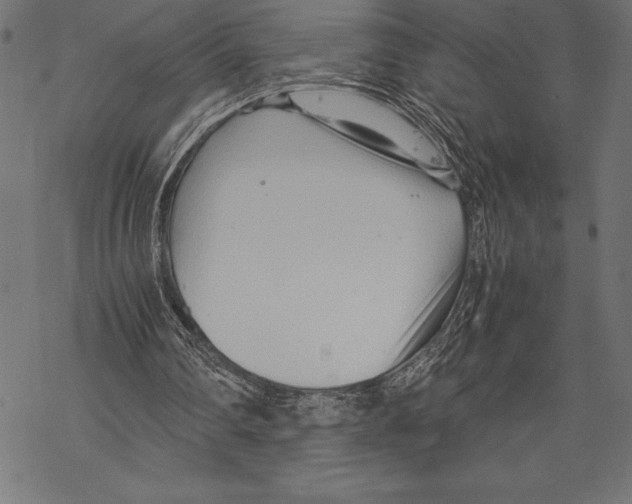 X0000067830290200605111624