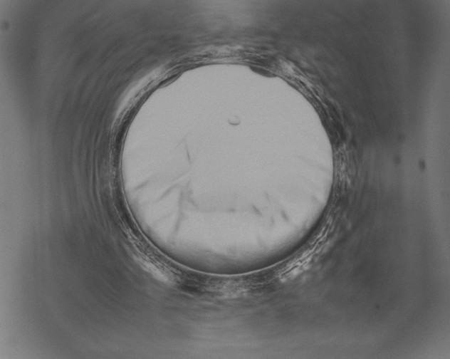 X0000067830293200605111624