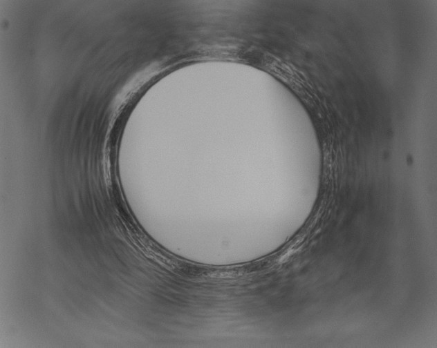 X0000067830294200605111624