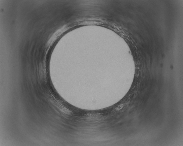 X0000067830296200605111624