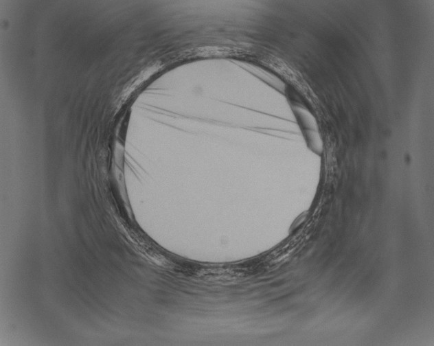 X0000067830297200605111624