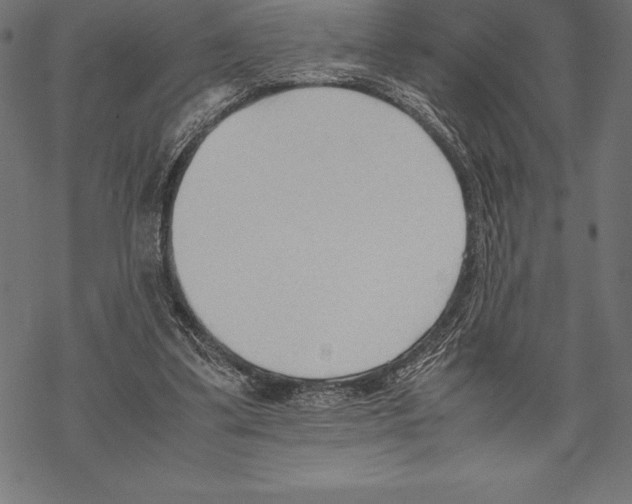 X0000067830299200605111624